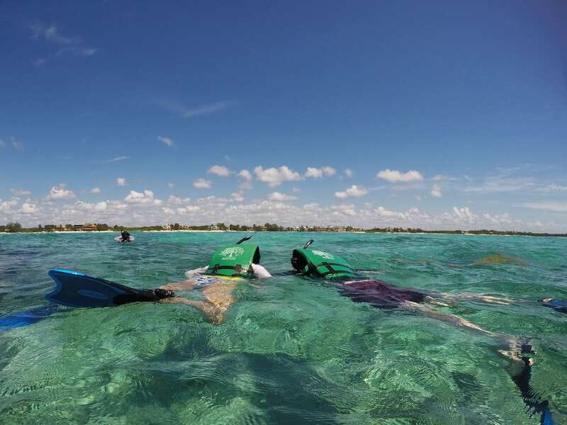 From Riviera Maya: Sian Ka'an Half Day Tour w/ Lunch - Snorkeling the Mesoamerican Barrier Reef