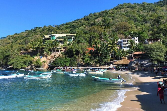 Full-Day Experience in Banderas Bay - Key points to know before booking