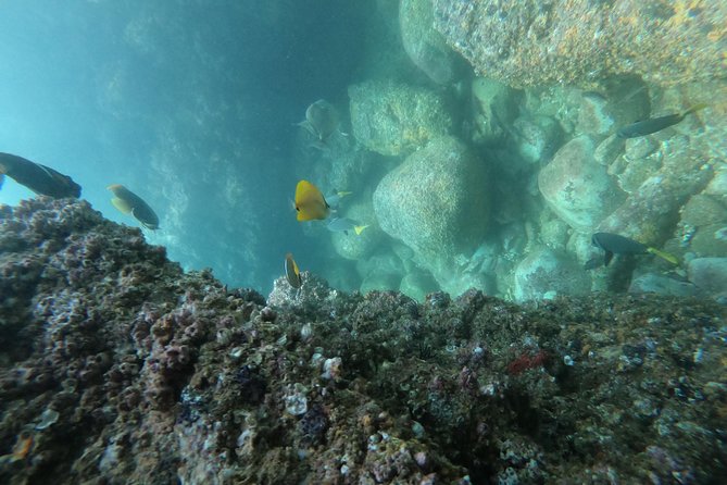 Full-Day Experience in Banderas Bay - Los Arcos de Mismaloya: rock formations and a final snorkel