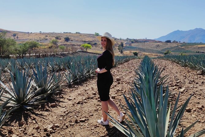 Full Day in Tequila with Tasting and party in Cantaritos - What is included, and what you will pay extra for