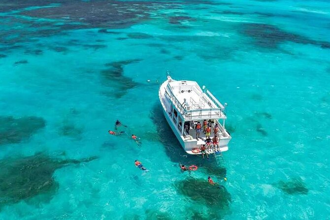 Full-Day Isla Contoy Sailing Nature Experience in Mujeres - Reaching Isla Contoy for the main event