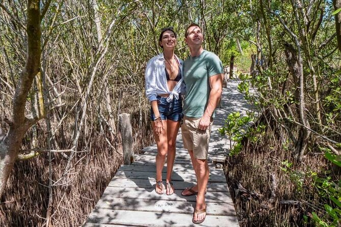 Full-Day Isla Contoy Sailing Nature Experience in Mujeres - Lunch with time to slow down