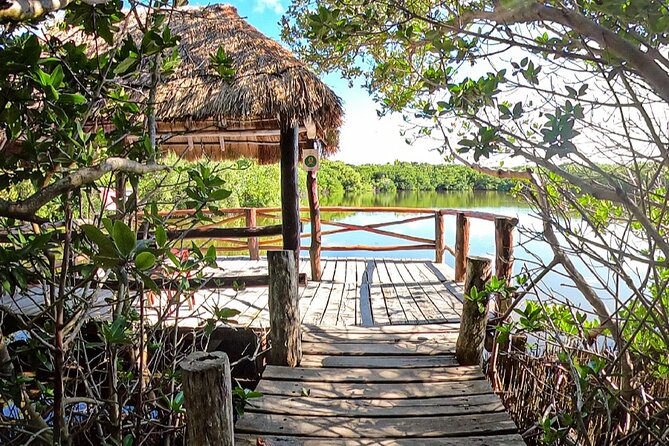 Full-Day Isla Contoy Sailing Nature Experience in Mujeres - Sailing from Cancun to Isla Mujeres