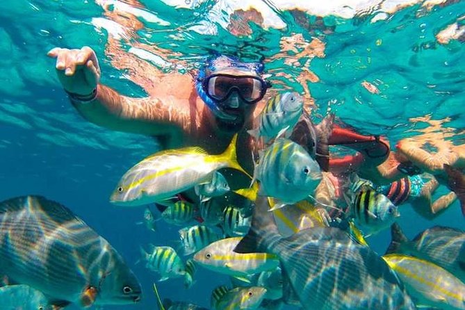 Full-Day Luxurious Catamaran Adventure - Cancún to Isla Mujeres - The spinnaker ride and sunset return