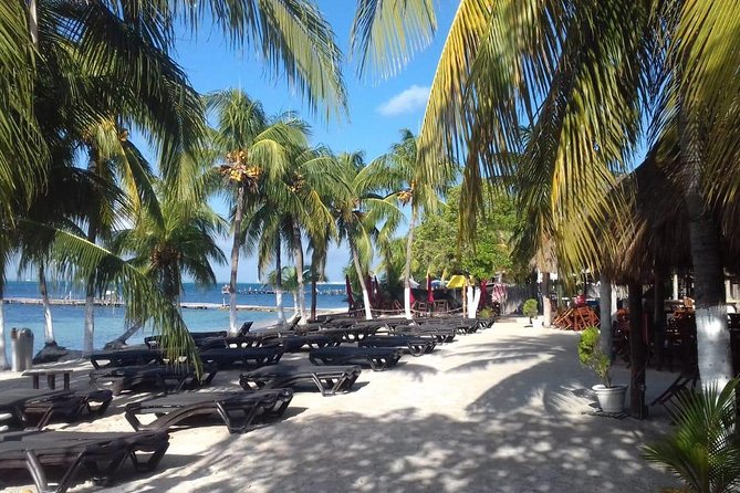Full-Day Luxurious Catamaran Adventure - Cancún to Isla Mujeres - What the $62 fare really buys you