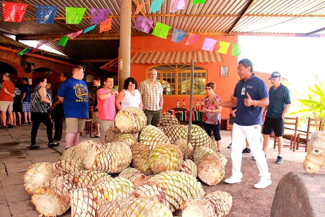 Full-Day Puerto Vallarta City Highlights Tour - The van ride, traffic, and comfort
