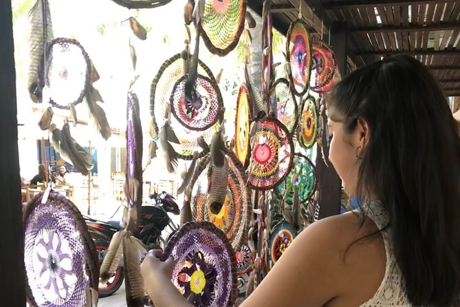Full-Day Sayulita and San Pancho from Puerto Vallarta - Is $53 a fair price?