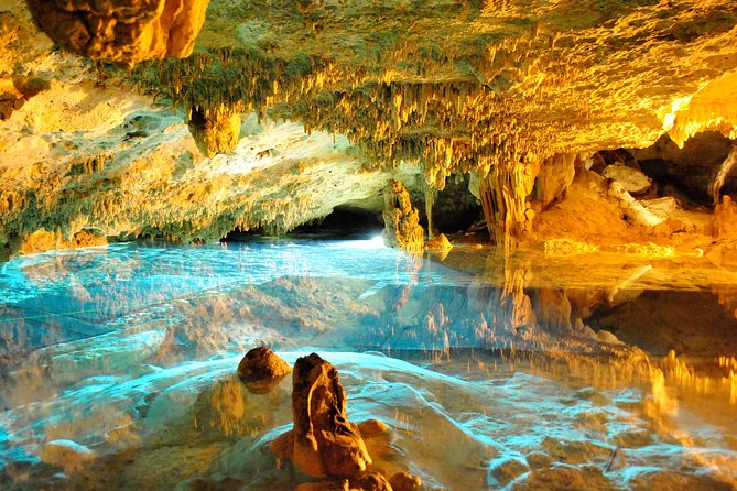 Full-Day Snorkel Extreme Adventure Tour from Riviera Maya - The 50-foot rappel is short but useful