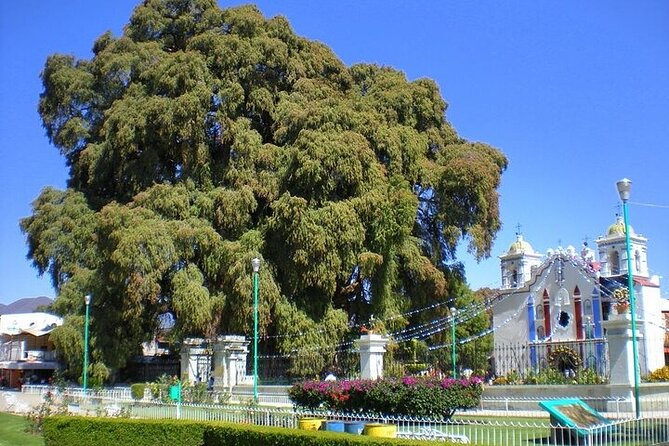 full day tour : Boil the water, Teotitlan, Mezcal, tule and Mitla - Lunch, timing, and the price calculation