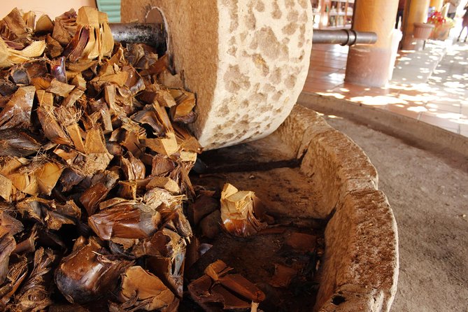 full day tour : Boil the water, Teotitlan, Mezcal, tule and Mitla - Who will enjoy this tour most