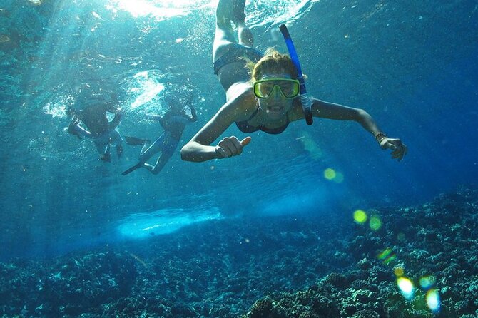 Full Day Tour Isla Marietas with Meals and Open Bar - What the $115 price includes, and what it does not