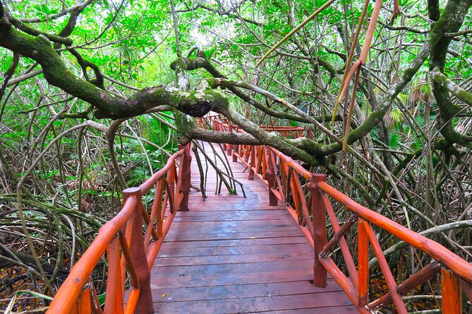 Full-Day Tour of Tulum Ruins and Cenotes with Lunch - Lunch with tacos after the water