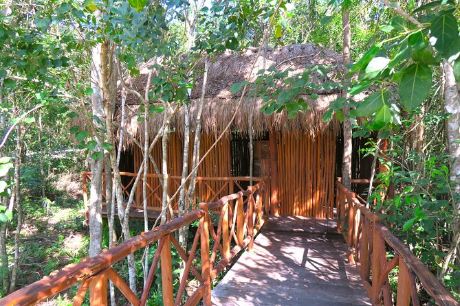 Full-Day Tour of Tulum Ruins and Cenotes with Lunch - Should you book the Tulum and cenotes tour?