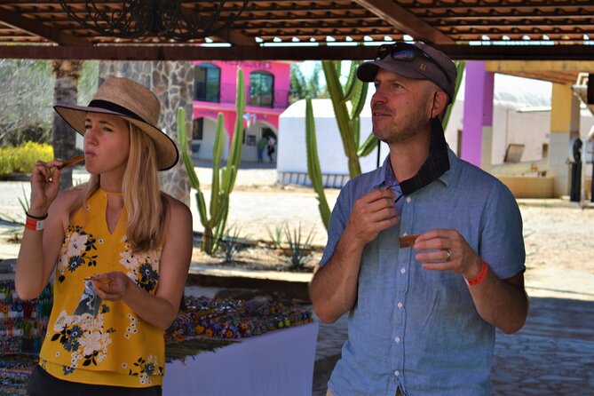 Full Day Tour to Tequila and Amatitán with Fun and Culture - The guide can make or break the day
