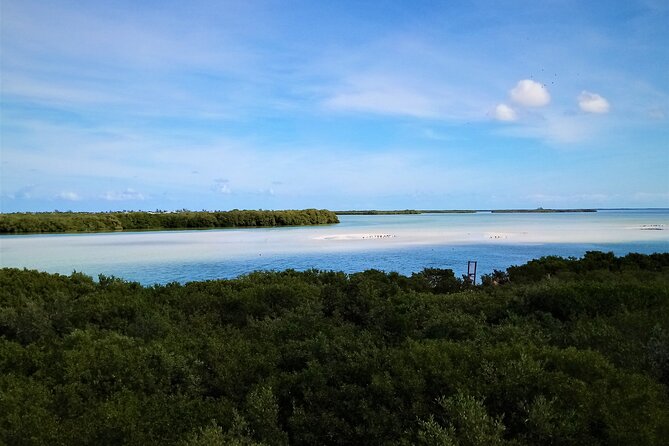 Full Day Tour to the Best of Holbox - Who will enjoy this day most