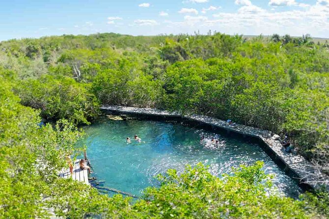 Full Day Tour to the Best of Holbox - Starting with two hours on Holbox Island