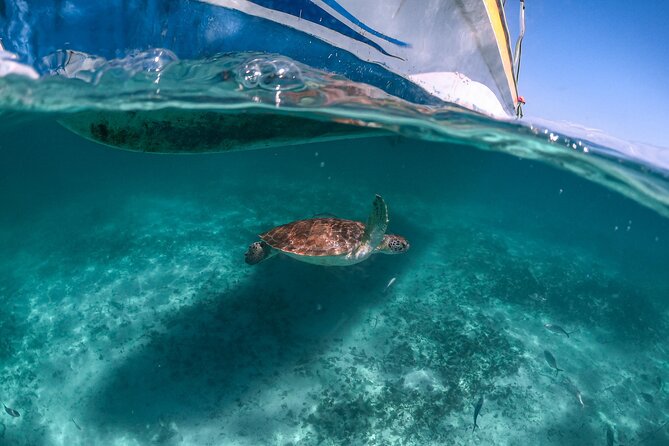 Full Day Tulum Ruins Tour Cenote and Swimming with Sea Turtles - Small details that can make the day better