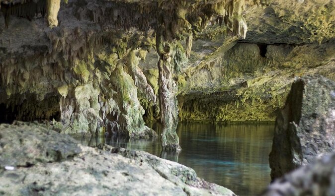 Go for 2 dives in cenote Dos ojos for certified divers - Key points at a glance