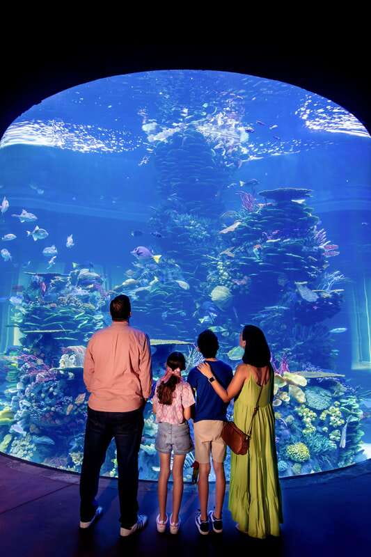 Gran Acuario Mazatlan - Feeling the tide at the intertidal zone