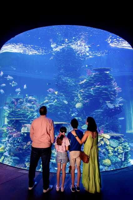 Gran Acuario Mazatlan - Is $30 a fair price?