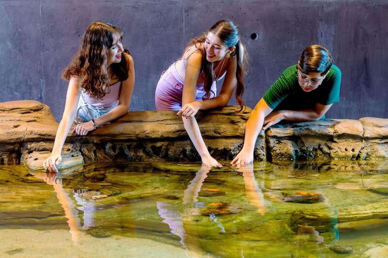 Gran Acuario Mazatlan - Practical planning for a smoother visit