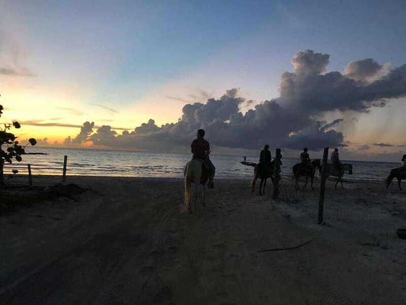 Group horseback ride on Holbox Island, Quintana Roo - Key points before you book