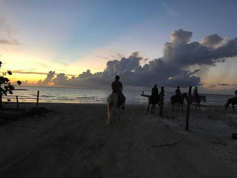 Group horseback ride on Holbox Island, Quintana Roo - Timing, cancellations, and possible changes