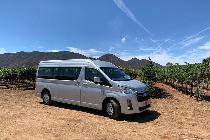 Group tour - Why a private Valle de Guadalupe tour makes sense