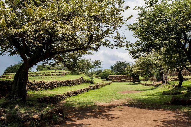 Guachimontones Archaeological Tour - The guides are a major part of the experience