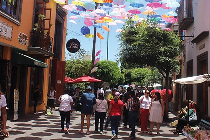 Guadalajara and Tlaquepaque City Sightseeing Tour - Guides make the difference