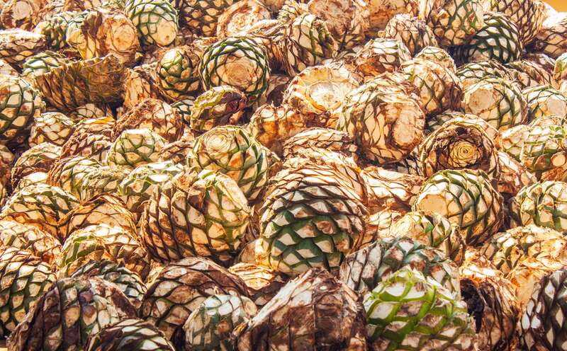 Guadalajara: Lake Chapala and Ajijic Day Trip with Boat Trip - Casa Calera: how tequila reaches your glass