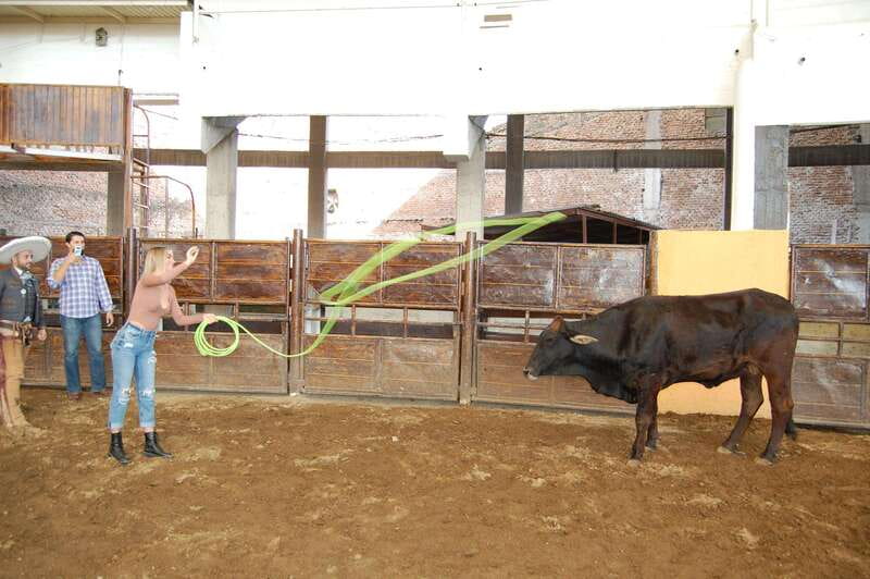 Guadalajara: Mexican Charro and Charreada Cultural Tour - Who will enjoy this most