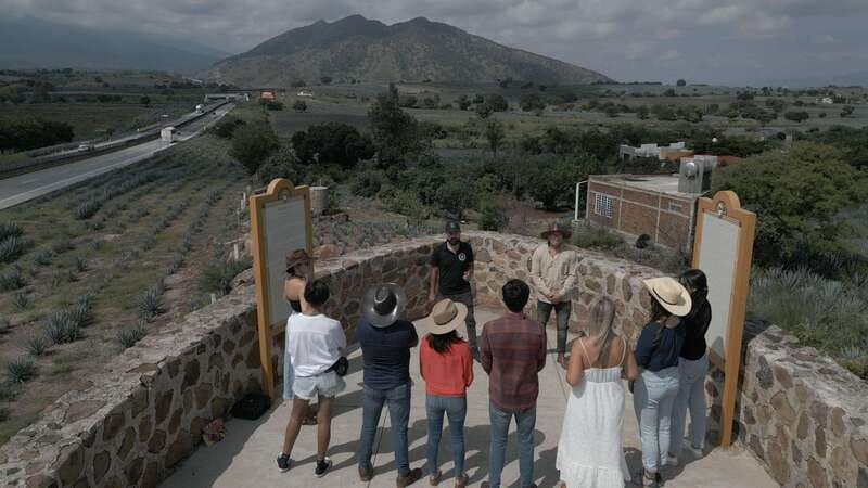 Guadalajara: Premium Tequila Tour with Tastings and Pairings - Key points at a glance