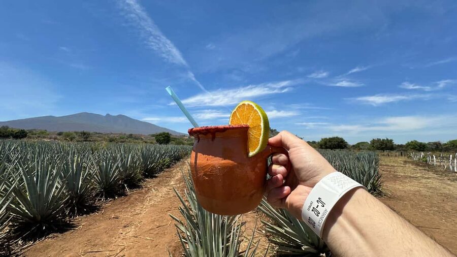 Guadalajara: Tequila Day Trip with Jose Cuervo Option - Key points to know before you book