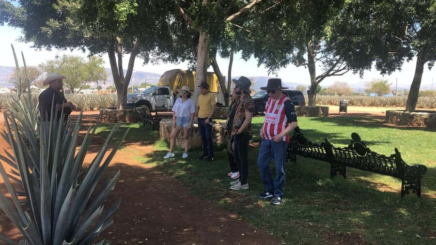 Guadalajara: Tequila Day Trip with Jose Cuervo Option - A closer look at the day’s rhythm
