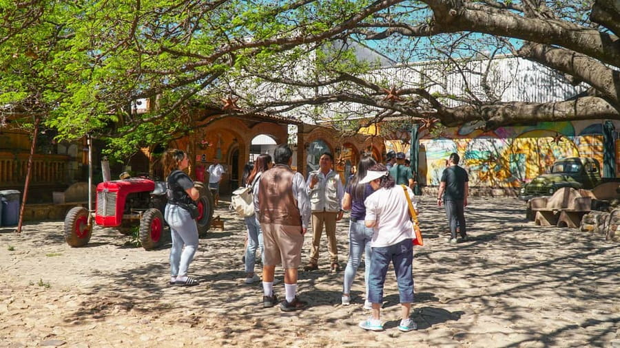 Guadalajara: Tequila Day Trip with Jose Cuervo Option - What to bring and who should skip it