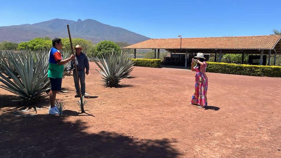 Guadalajara: Tequila Day Trip with Jose Cuervo Option - Seeing how blue agave becomes tequila