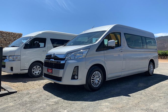 Guadalupe Valley Private Driver Tour - Viña de Frannes: a classic vineyard stop
