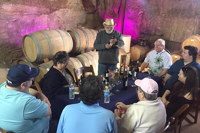 Guadalupe Valley Wine Route Tour in Baja California - What three wineries can look like