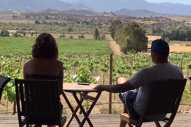 Guadalupe Valley Wine Route Tour in Baja California - Lunch at a valley restaurant