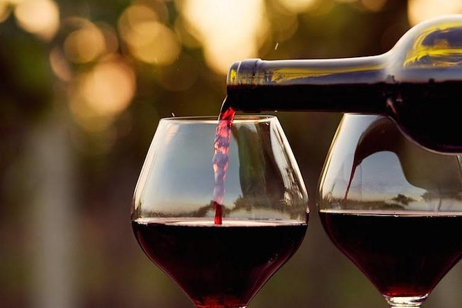 Guadalupe Wine Valley Tour - Key points at a glance