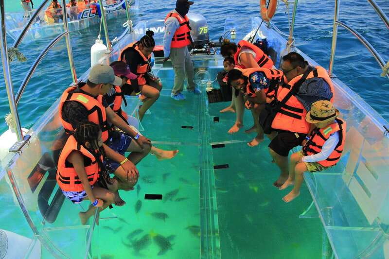 Guided Cabo Tour: Boat | Tacos & Tequila | Photos & Transfer - Is $105 a fair price?