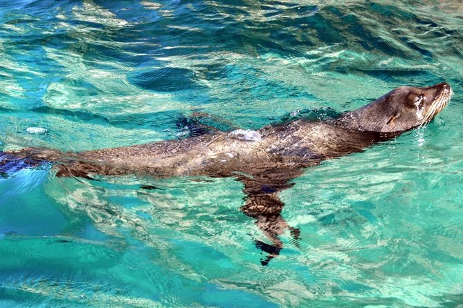 Guided Tour Los Cabos: Boat | Tacos & Tequila | Photos & Transfer - Tacos, tequila, and the limits of the tasting stops