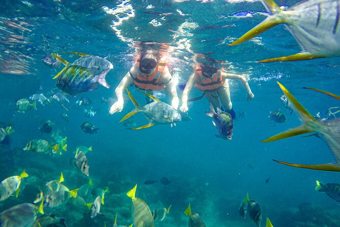 Half Day Cabo Snorkel Adventure with Lunch and Open Bar - The crew makes the biggest difference