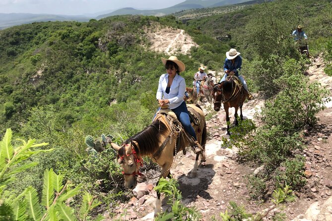 Half Day Excursion - Horseback Riding Adventure in SMA - Choosing the 9:00 am or 3:30 pm Departure