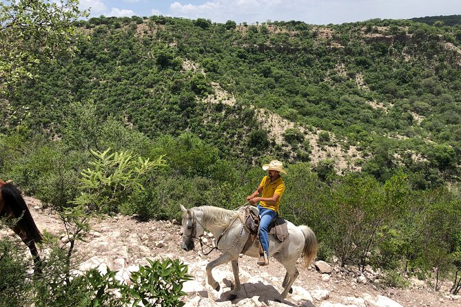 Half Day Excursion - Horseback Riding Adventure in SMA - Is $196.71 a Fair Price?
