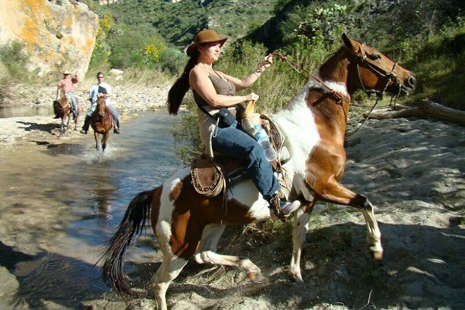 Half-Day Horseback Riding Adventure - Climbing to the 150-foot canyon cliffs