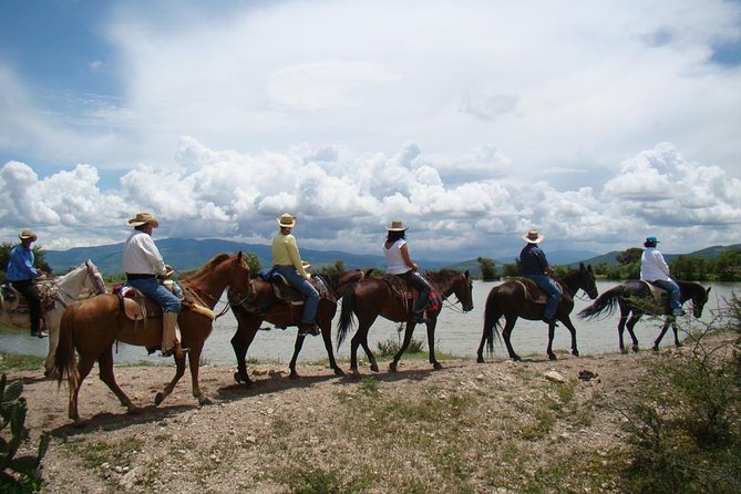 Half-Day Horseback Riding Adventure - Plains, cattle, and the long descent