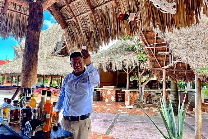 Half-Day Island Tour with Mayan Experience & Beach Break - Cozumel downtown gives you a quick orientation