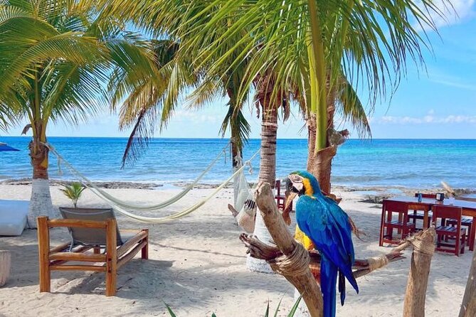 Half-Day Island Tour with Mayan Experience & Beach Break - Guides can turn a basic route into a personal day